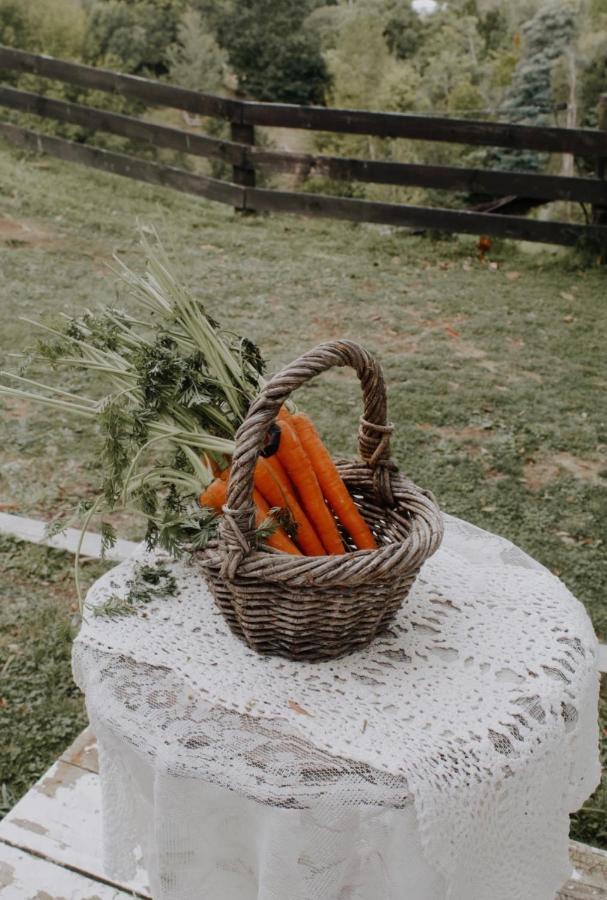 טאורנגה Thistle And Pine Cottage Farmstay מראה חיצוני תמונה